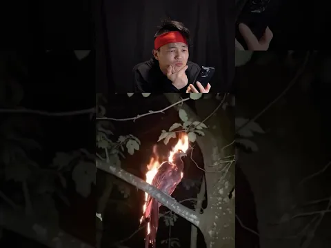 이 불사조 진짜야?🥷🔥🦅 Is This Phoenix Real? #ninjahyeong