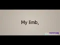 Hayley Williams - My Limb (Letra/Lyrics)