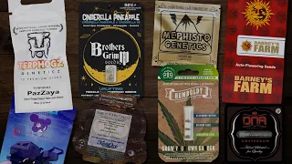 10 best cannabis seeds for 2025 top genetics to grow loud