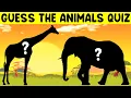 Kids Quiz Guess the Animal from their Shadow Brain Games Learn about Animals Quiz for Kids