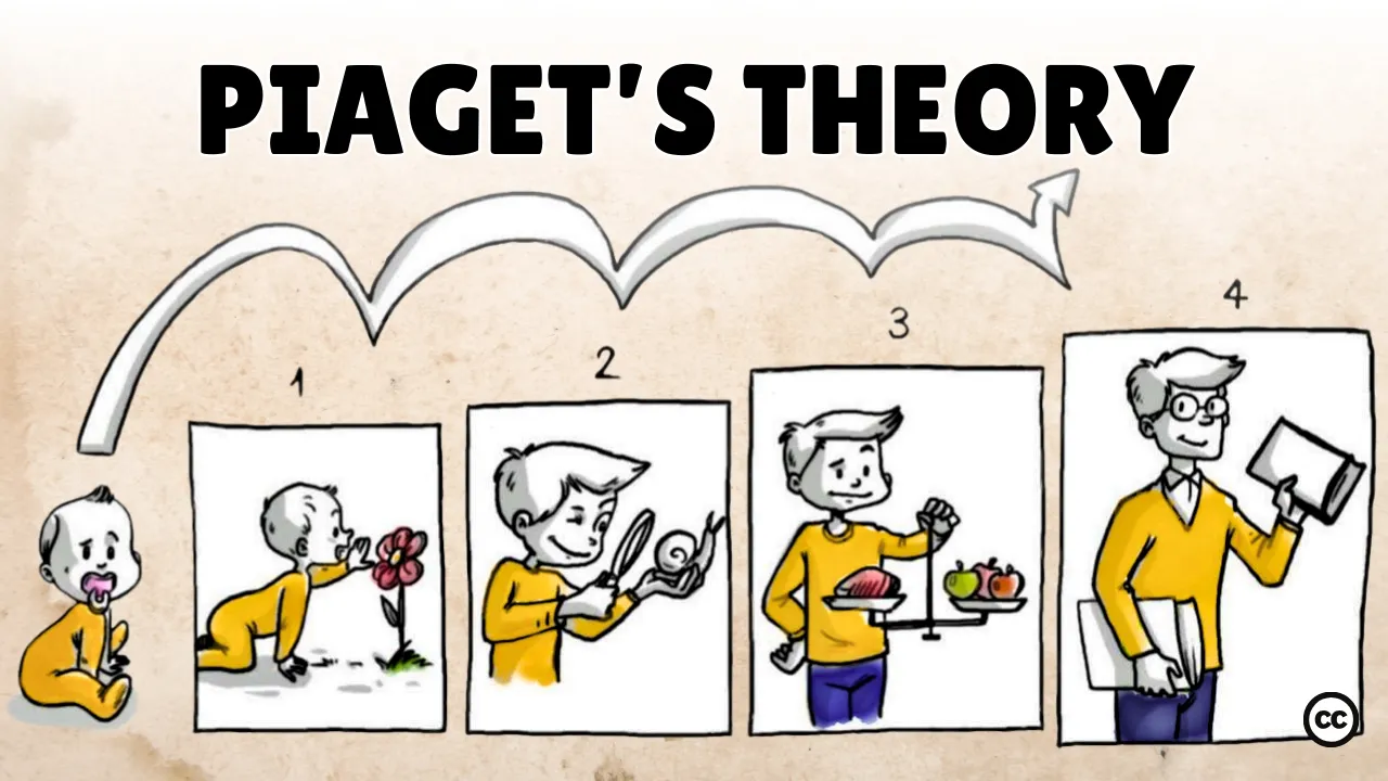 Outline Video Piaget's Theory of Cognitive Development
