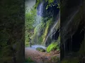 Download Lagu T or F? Listening to nature sounds for just 1 minute makes you feel 30% more relaxed 😌