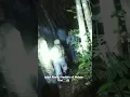 Download Lagu Pemburu Tikus Hutan di Minahasa..