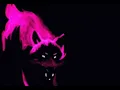 A*S*Y*S - Freedom Of Expression (Dark Acid Mix)