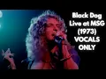 Led Zeppelin - Black Dog (Live at MSG) VOCALS ONLY