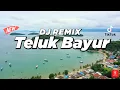 Lagu DJ DANGDUT REMIX TELUK BAYUR - Dunya Musik | Lagu Terbaru 2025