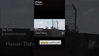 اضرب اضرب دندنها
