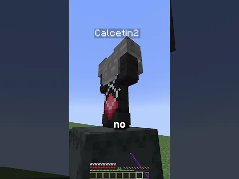 Calce vs Capitan Gato #minecraft #shorts