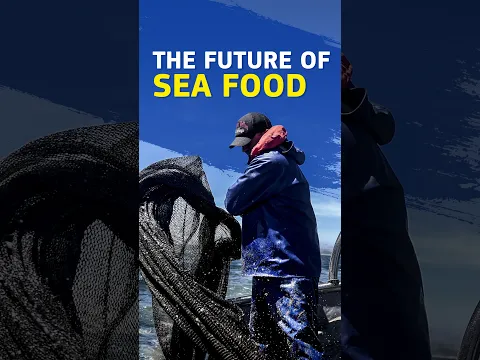 Europe’s Seafood: What’s Next?