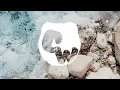 iamforest - Structures