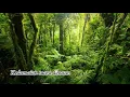 Download Lagu SUARA HUJAN DIHUTAN COCOK UNTUK RELAKSASI TIDUR