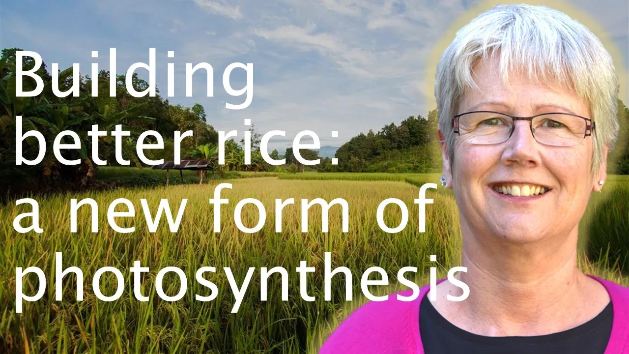 Food security & photosynthesis: making C4 rice - Jane Langdale