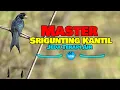 Download Lagu Master Srigunting Kantil Jeda terapi air | AAHOBI MANIA