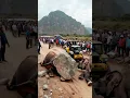 Download Lagu There was a stone near one elephant's feet, and the other elephant removed it #elephant #animals