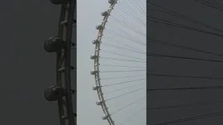 چرخ و فلک عین دبی در جزیره بلو واترز بزرگترین چرخ فلک دنیا چرخ فلک عین دبی Dubai Life 