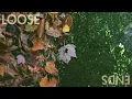 Half Moon Run - Loose Ends [Official Audio]