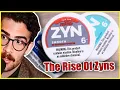 The Rise Of Zyn Hasan Clip Factory