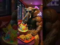 Tralalero Tralala Orcalero Orcala song