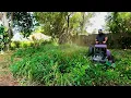I almost broke Al Bladez Mower when I cut ONE OF THE MOST DANGEROUS AREAS OF FLORIDA
