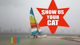 Show us your cat! Episode 68 USA, Italy and Greece
