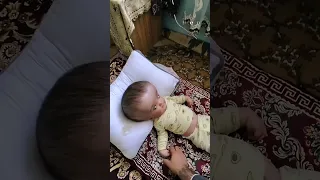                                                         دندنها