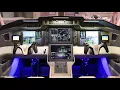 how does the EFIS FMS and Flight Director work for aviation exams