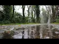 8 horas Som de Chuva leve e calma - Tela Preta - Som e musica para relaxar, dormir