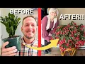 Christmas Cactus Care How to Tips and Tricks