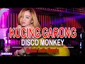 Download Lagu KUCING GARONG  -DISCO MONKEY \