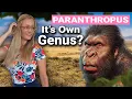 Download Lagu Evolution Of The Paranthropus Hominins | Boisei, Robustus \u0026 Aethiopicus