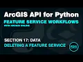 Deleting a Feature Service in ArcGIS Online using the ArcGIS API for Python