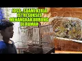 Download Lagu SUKSES TERNAK BURUNG SRDC - SUAMI KERJA DI TANGERANG ISTRI SUKSES MENANGKAR BURUNG DI KAMPUNG