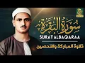 Lagu قرآن الصباح | سورة البقرة للشيخ محمد صديق المنشاوي | Surat Al-Baqarah Quran Recitation
