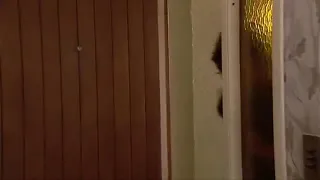 hot video
