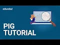 Apache Pig Tutorial What is Pig in Hadoop Hadoop Training Edureka