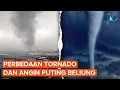 Download Lagu Beda Angin Puting Beliung dan Tornado, Apa Saja Tanda-tanda Kemunculannya?