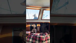 #youtube #fyp #dream #doberman #pets