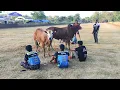 Download Lagu Suasana Pagi Di Lap Asemanis Pamekasan Persiapan Event Pemilihan Tingkat Kab Pamekasan. 