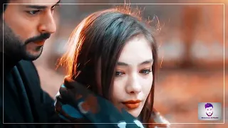 صرت جرح و ماشي على الطرقات    دندنها