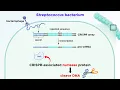 Download Lagu CRISPR-Cas9 Genome Editing Technology