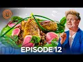 Lagu A Feast of Colors! Chefs Create Stunning Plates | MasterChef USA Season 7 Episode 12