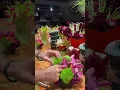 Download Lagu #flowers #bouquetmasterfloweshopph #florist #ihavethisthingwithplants #love