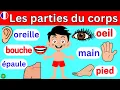 Easy French | Les parties du corps | Learn french | Apprendre le français | Learn French