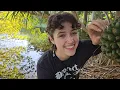 Lagu ASMR Outside in a Tropical Garden 🌿 (lofi, tapping \u0026 scratching, chaotic whispers, nature sounds)
