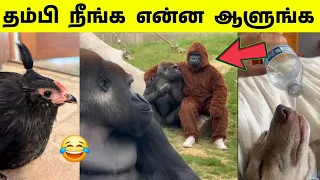 உங்கள நான் இங்க பார்த்ததே இல்லையே 🤣😂 | யாருடா நீ புதுசா 🤣