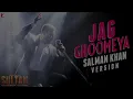 Jag Ghoomeya - Salman Khan Version | Full Song Audio | Sultan | Vishal and Shekhar | Irshad Kamil