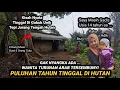 Lagu MUSTAHIL TIDAK MUNGKIN!! WANITA CANTIK NEKAD MEMILIH TINGGAL DI RUMAH BAMBU UNIK TENGAH HUTAN