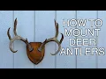 HOW TO MOUNT DEER ANTLERS