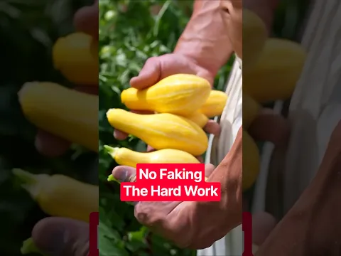 Why Grow Your Own Food?