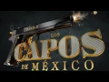 Los Capos De Mexico - Gente Pendeja